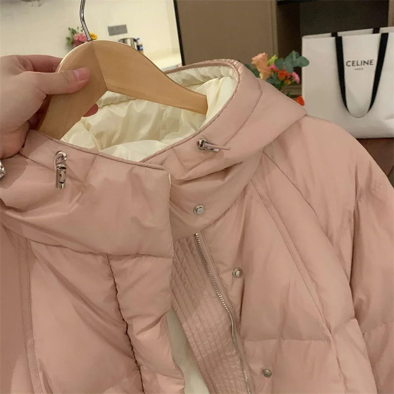 Jacket Woman Winter 2023 Demi-season Parka New In Outerwear Spring Hooded Oversize Female Quilted Ski Suit Fluffy Zipper Casual