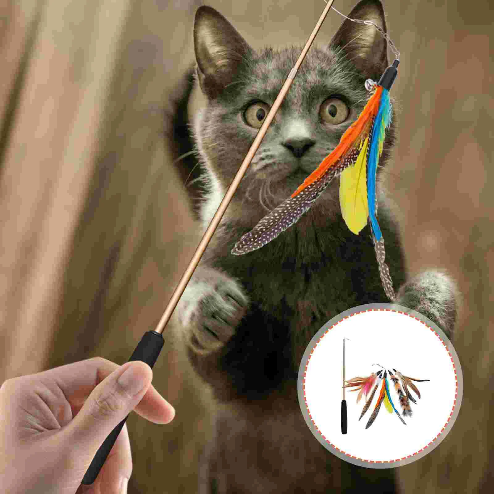 

Cat Toy Wand Teaser Telescopic Stick Teasing Kittentoys Training Interactive Wands Indoor Charmer Dancer Feathered Diversion