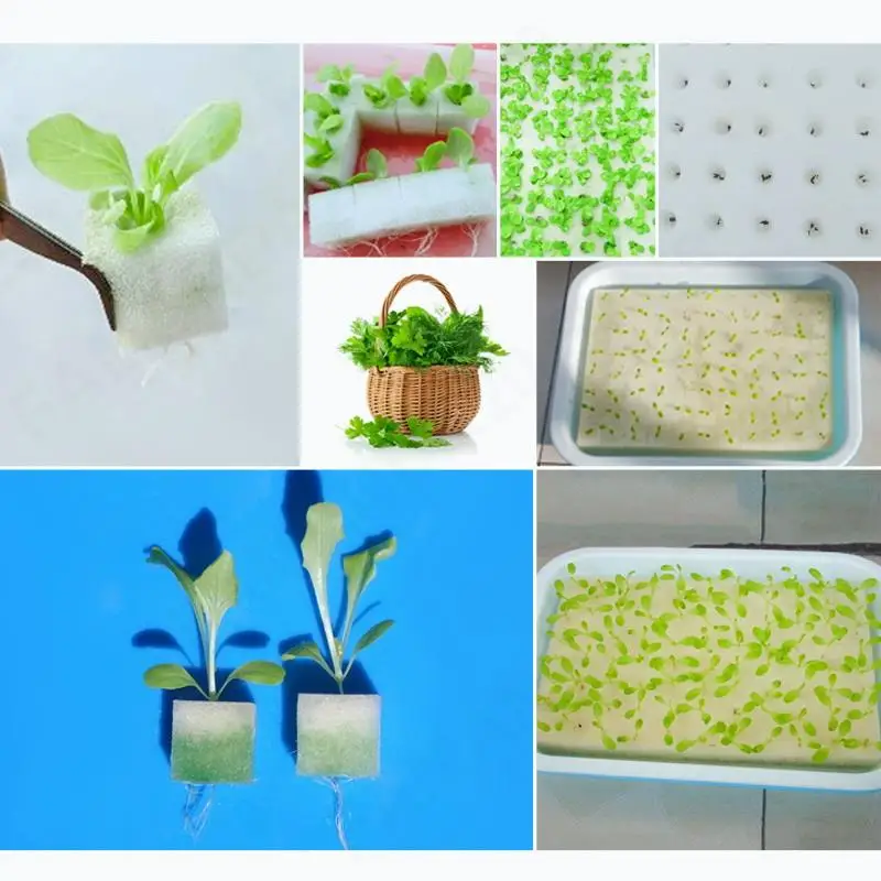 100pcs/sheet Garden Cultivation Plant Sponge Soilless Culture Planting Hydroponic Vegetables Nursery Pots Cloning Collar M20 images - 6