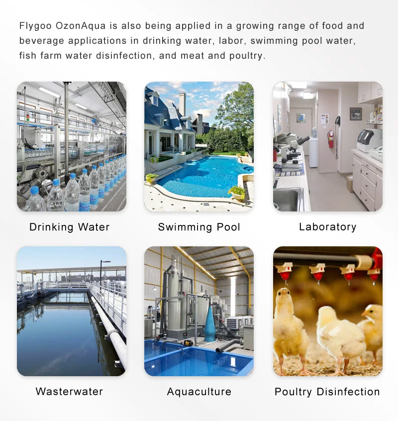 Озоновый генератор для очистки воды в бассейне с сертификатом CE/ROSH