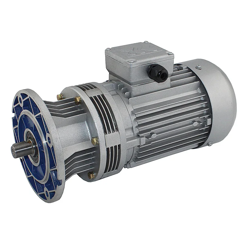 

China motor speed reducer high ratio speed cycloidal reducer motor