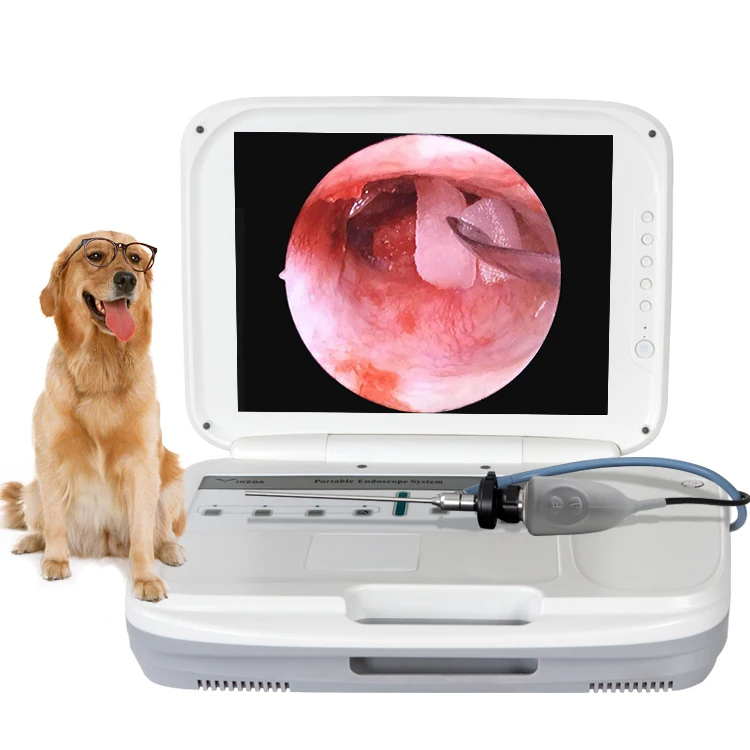 

Rigid and Flexible small animals scopes HD endoscope camera