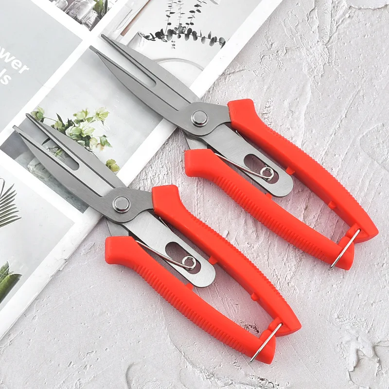 

Scissors Fruit Scissors Flower Picker Agricultural Garden Garden Double And Tree Thinning Scissors Fruit Picking Headed Fruit