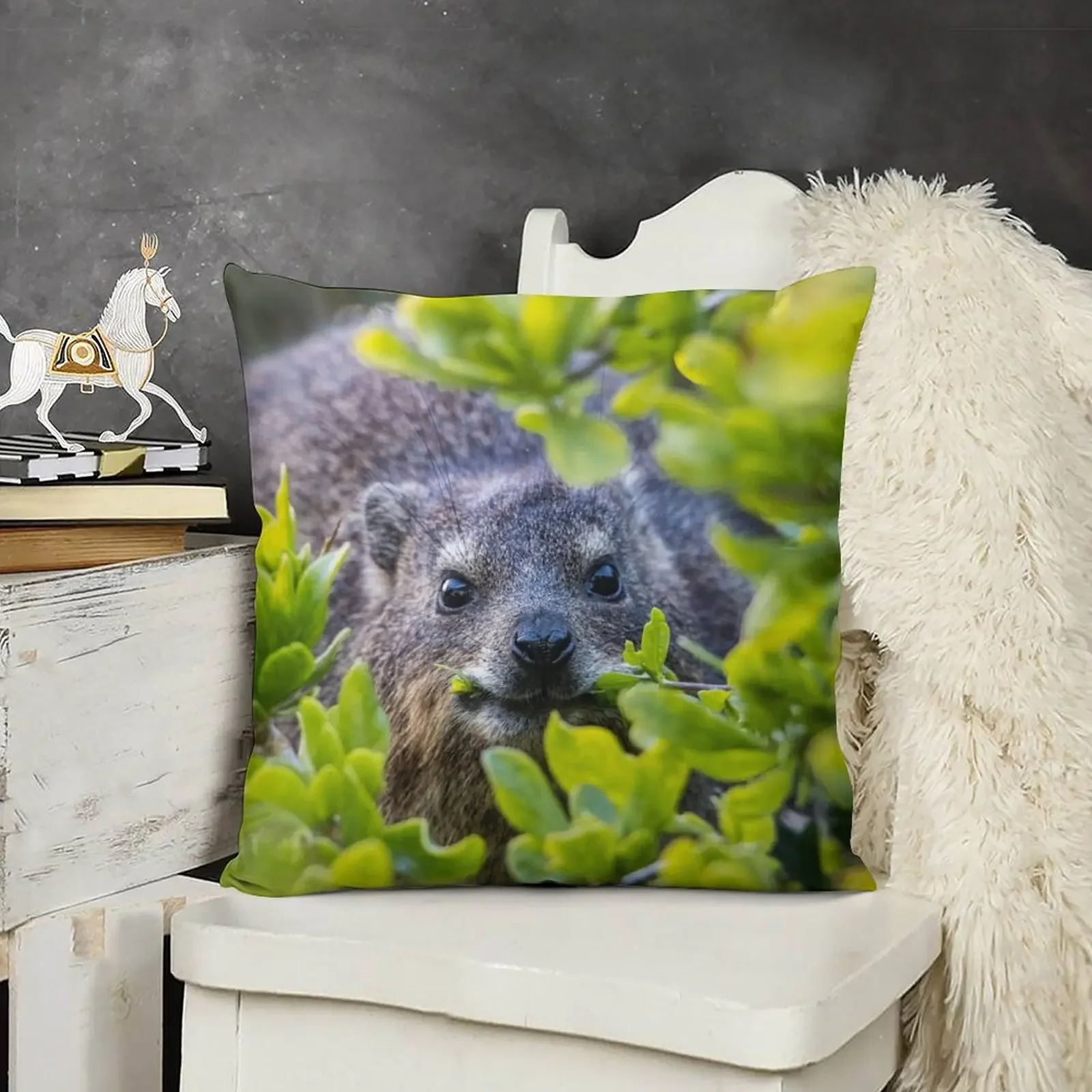 Накидка Hyrax on Boulders пляжная декоративная подушка аниме рождественские украшения