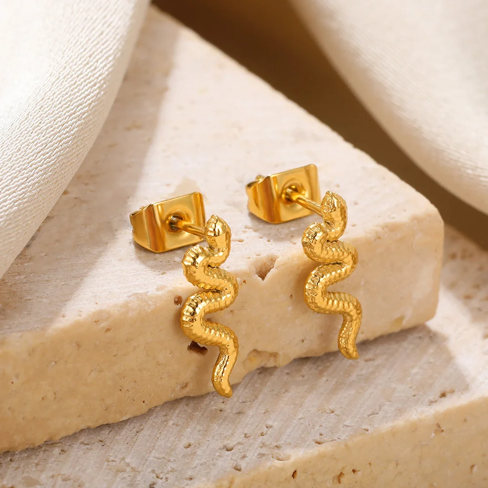 

Stainless Steel Hypoallergenic Earring For Women 18K Gold Color Snake Jewelry Fashion Earrings Birthday Gift Free Shipping New