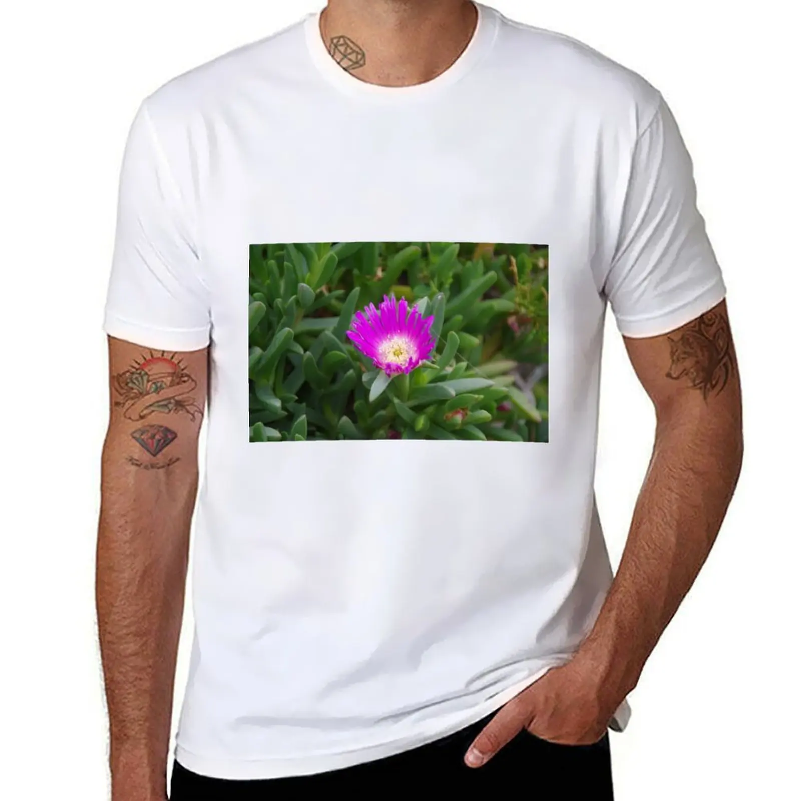 Фото Футболка Carpobrotus rossii (цветок пигфейс) — аниме-футболка для мужчин, 100% хлопок, люксовый бренд №1