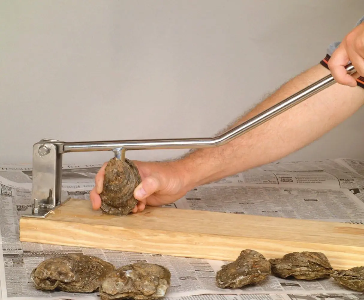 

Stainless Steel Oyster Opener, with Oyster Knife