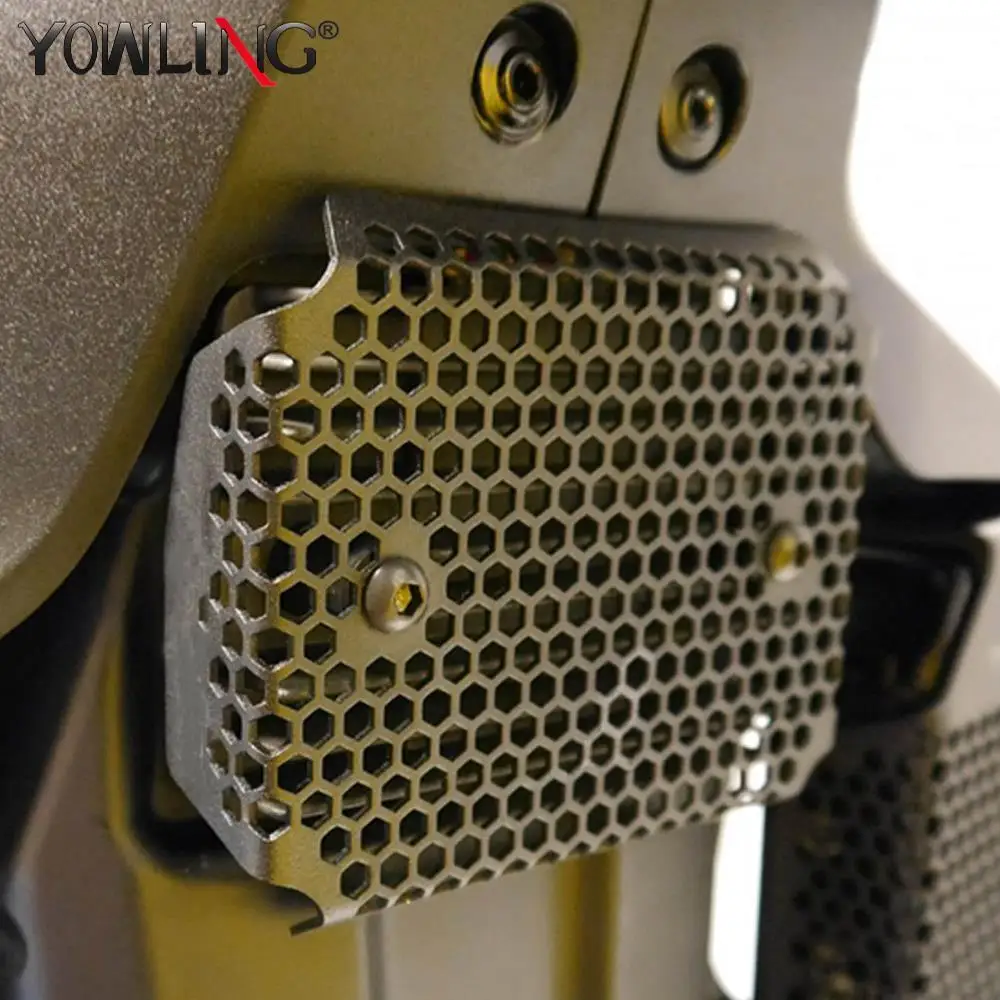 

For Ducati Monster 797 Plus Monster 2017-2022 2021 Rectifier Grille Guard Protector Radiator Grill Cover Pillion Peg Removal Kit