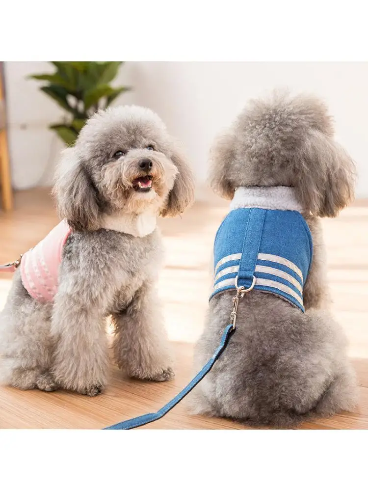 Жилет для маленьких собак Тяговая веревка подходит прогулок с кошками комплект