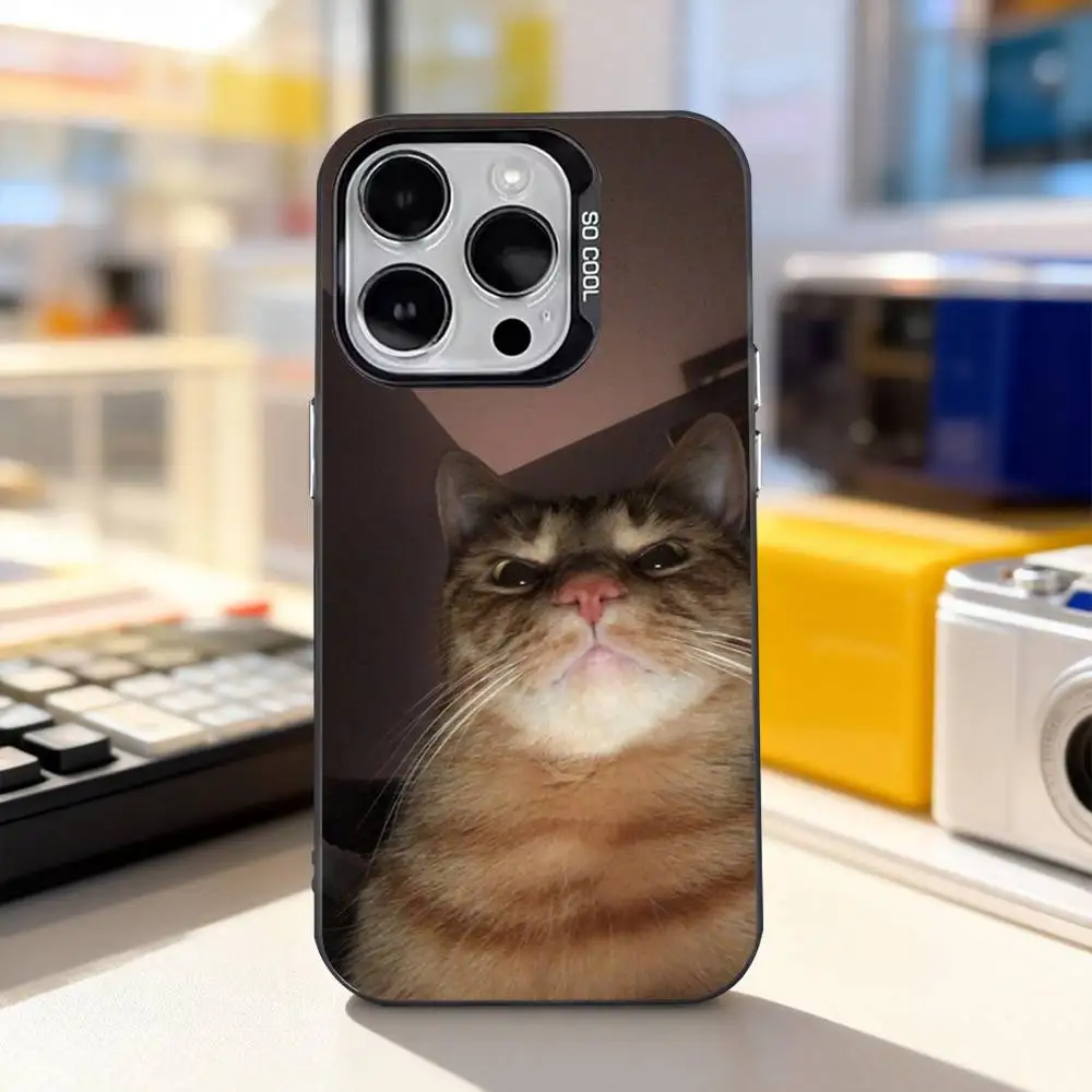 Фото Забавные мемы с котиками: милый чехол для iPhone 11, 12, 13, 14, 15, 16, 17, Pro, Max, Plus, E, Air, Mini, матовый черный IMD №2