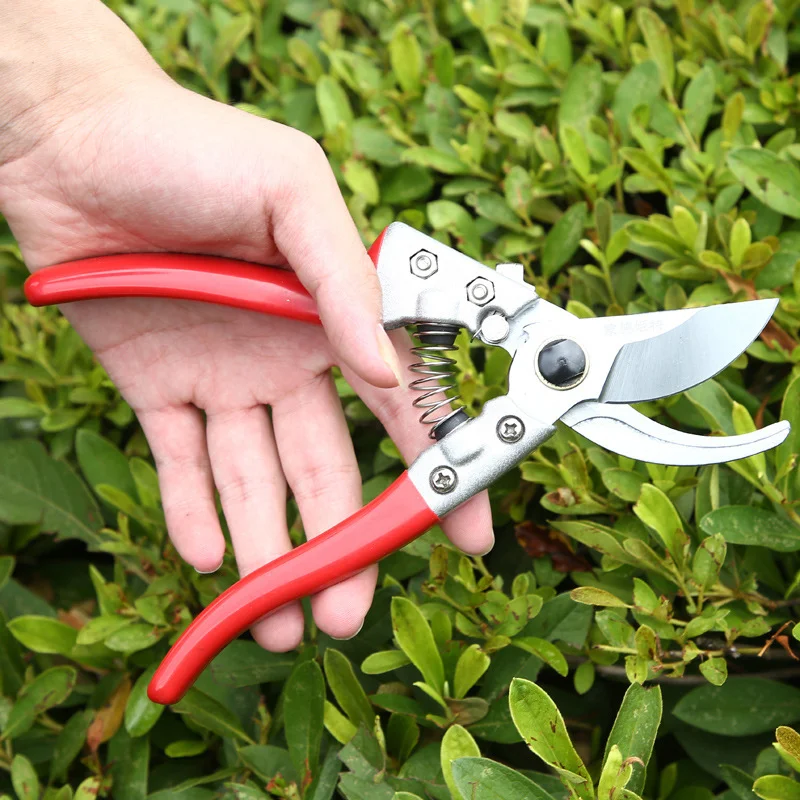 

Brand New Garden Tools Carbon Steel Pruning Shear Gardening Bonsai Scissors Tree Flower Plant Labor-saving Pruner Cutting Tool