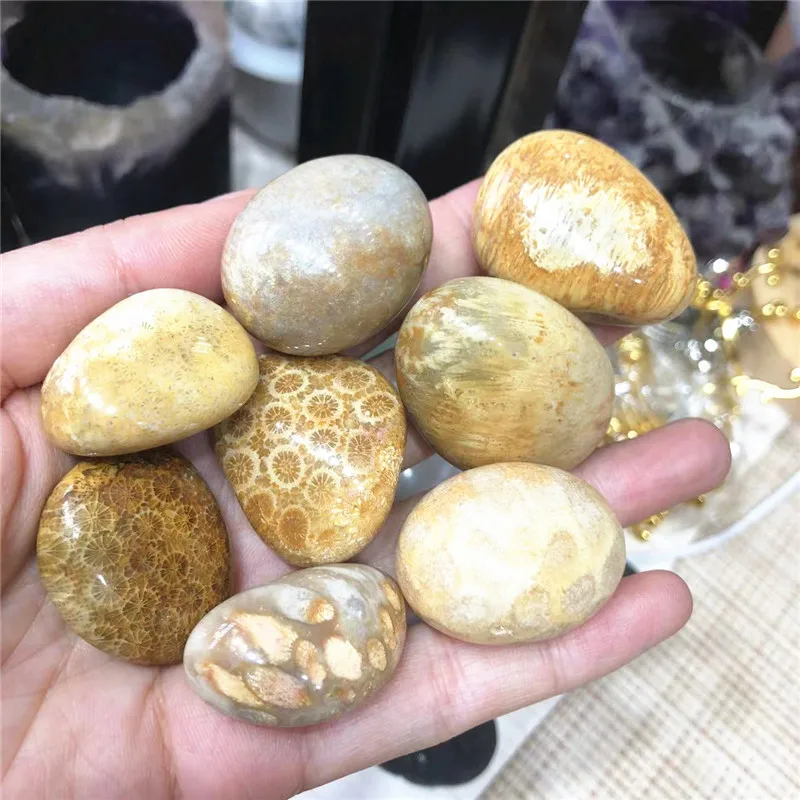 

Natural Crystals Healing Semi-precious Crafts Chrysanthemum Bulk Tumbled Stones For Home Decoration