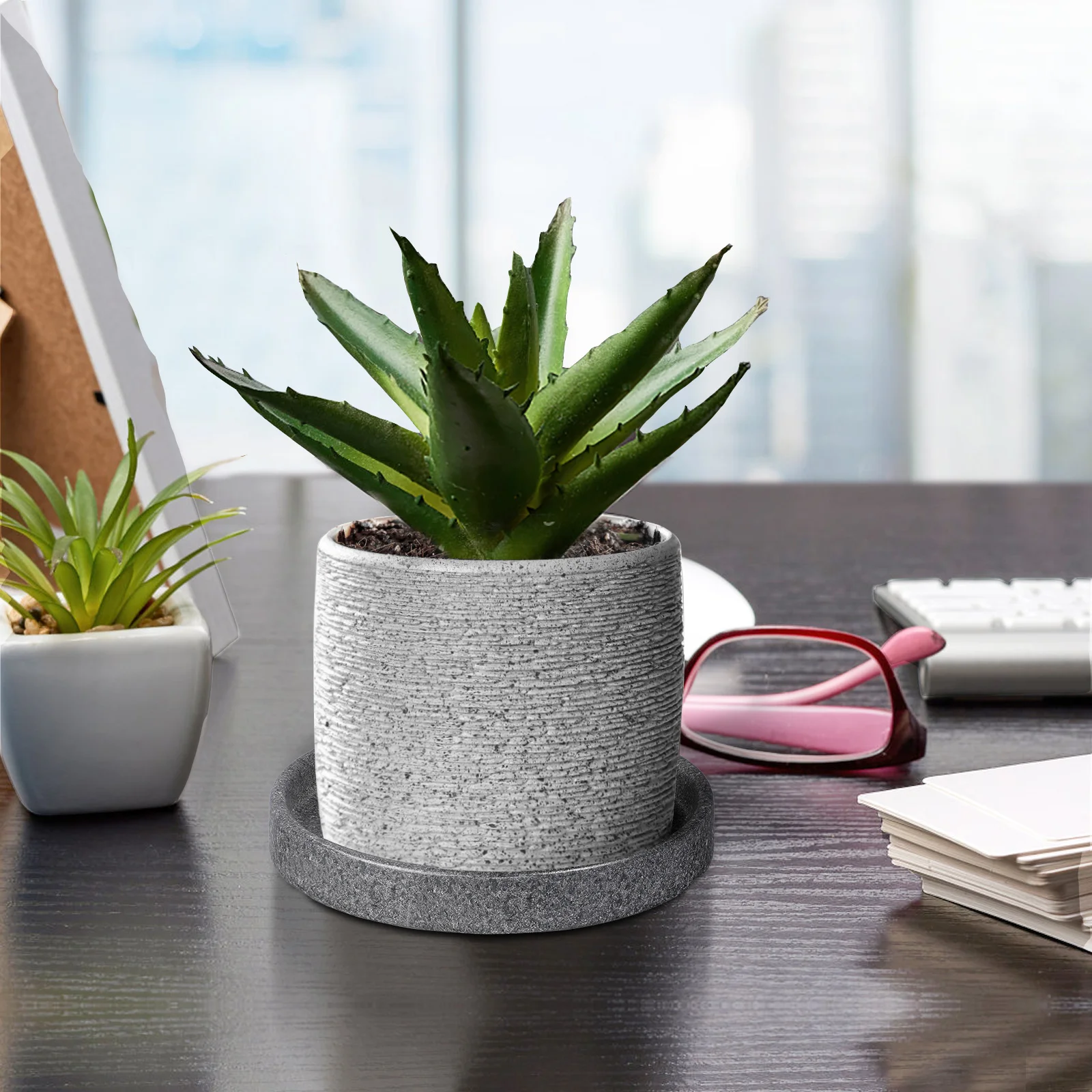 

Houseplant Ceramic Serving Tray Round Pot Tray Flower Pots Base Pots Plants Flowerpot Tray Planter Tray Indoor House Plants