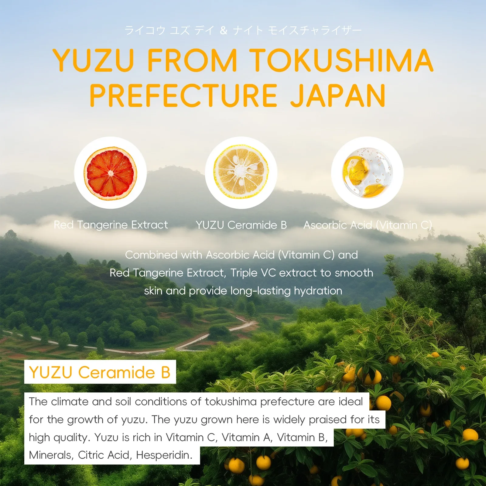 LAIKOU Japan Грейпфрутовые наборы для ухода за кожей крем лица сыворотка-тонер