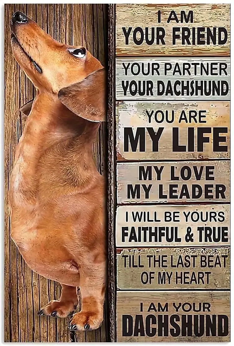 

Dog Metal Tin Sign I Am Your Friend Your Partner Your Dachshund Metal Poster Cafe Living Room Bathroom Toilet Wall Decoration