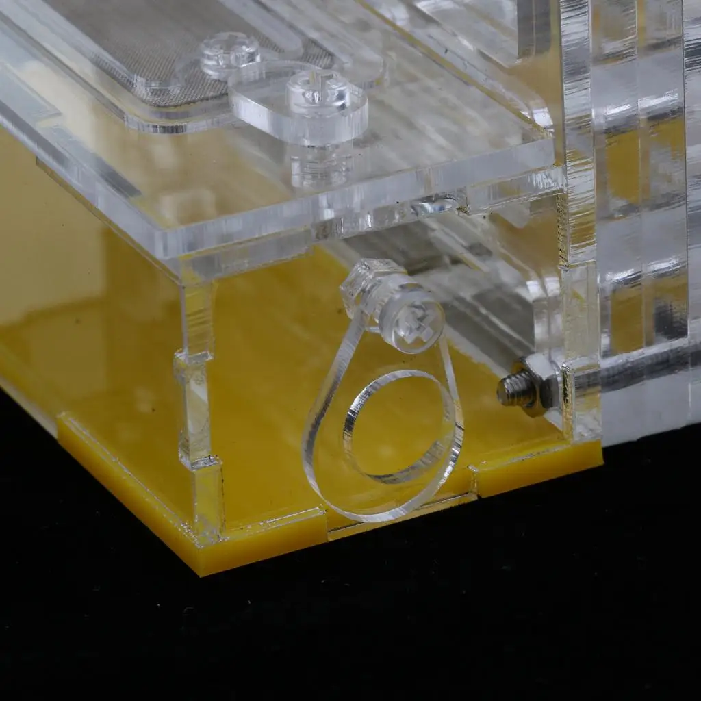 Прозрачный корпус для муравьев акриловое гнездо корм ферма контейнер