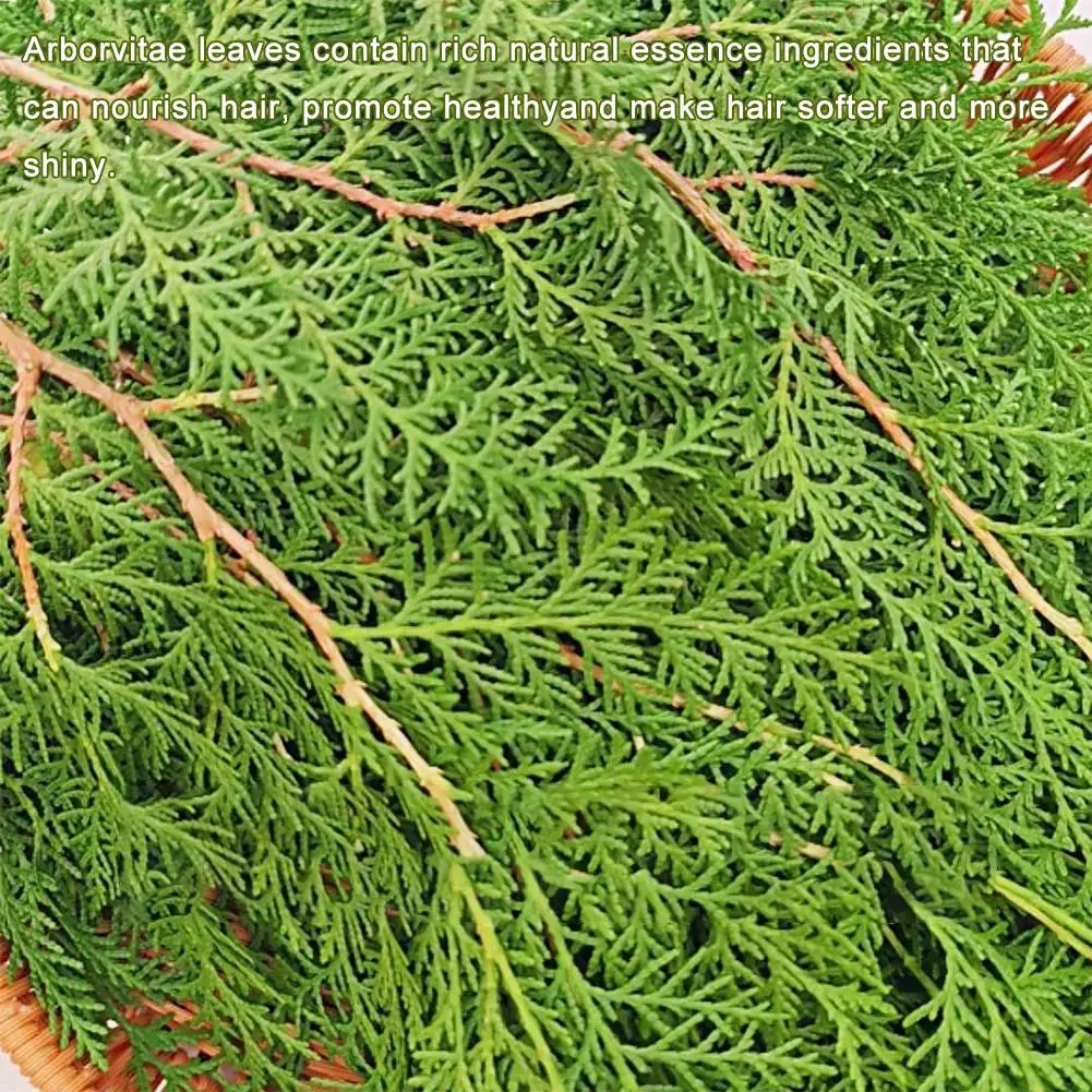 Шампунь травяное мыло Platycladus восточный способствует против выпадения волос