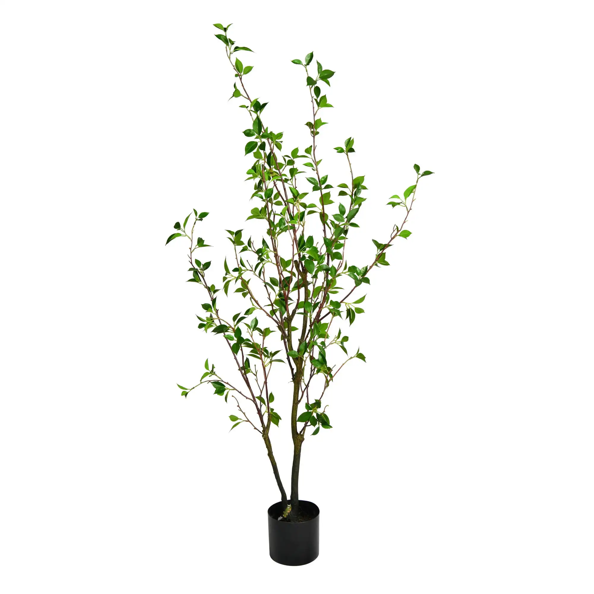 

60" Artificial Potted Baby Leaf Tree in Black Planters Pot.