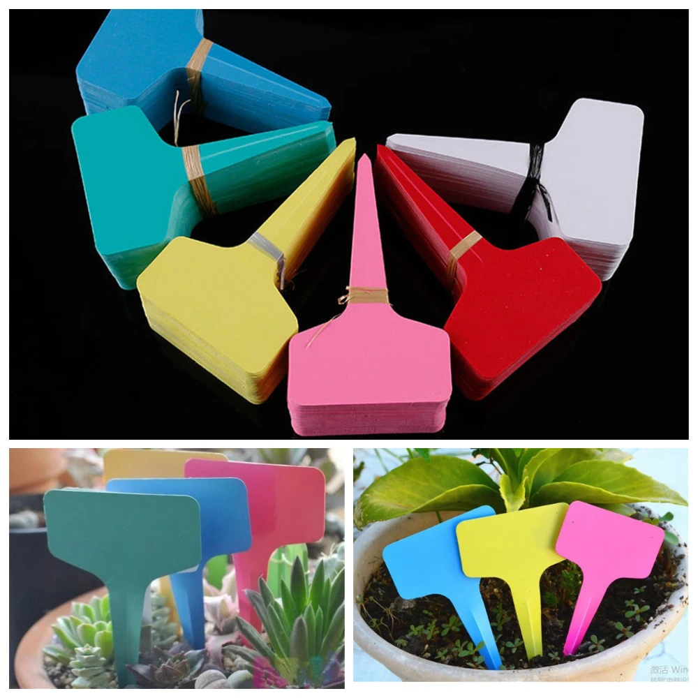 

100Pcs 6X10cm T-type Nursery Garden Plant Tag Flower Labels Plant Seed Labeled Pot Marker for Plants DIY Garden Decoration Tools