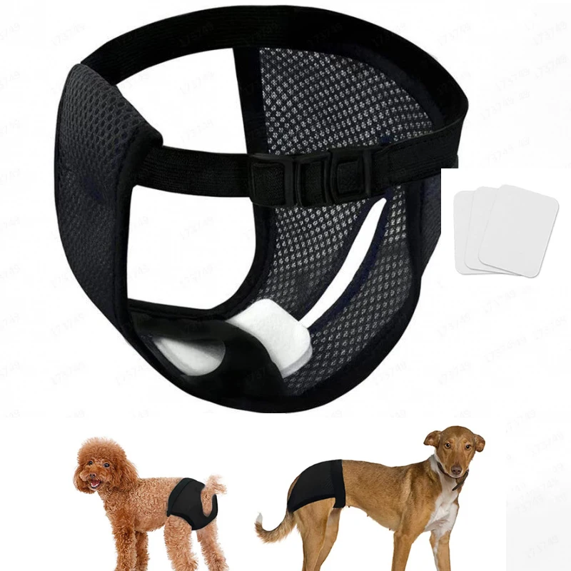 

Female Dog Panties with 3 Cotton Pads Reusable Diapers Pet Breathable Mesh Flexible Adjusting Buckle Washable Sanitary Wraps