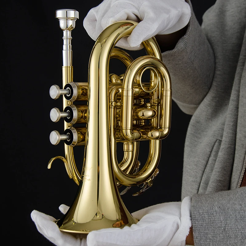 

JINYIN стандартная ладонная труба карманная труба в Bb, Лакированное золото, латунный корпус, никель медь Поршневой клапан (JYHT-E100)