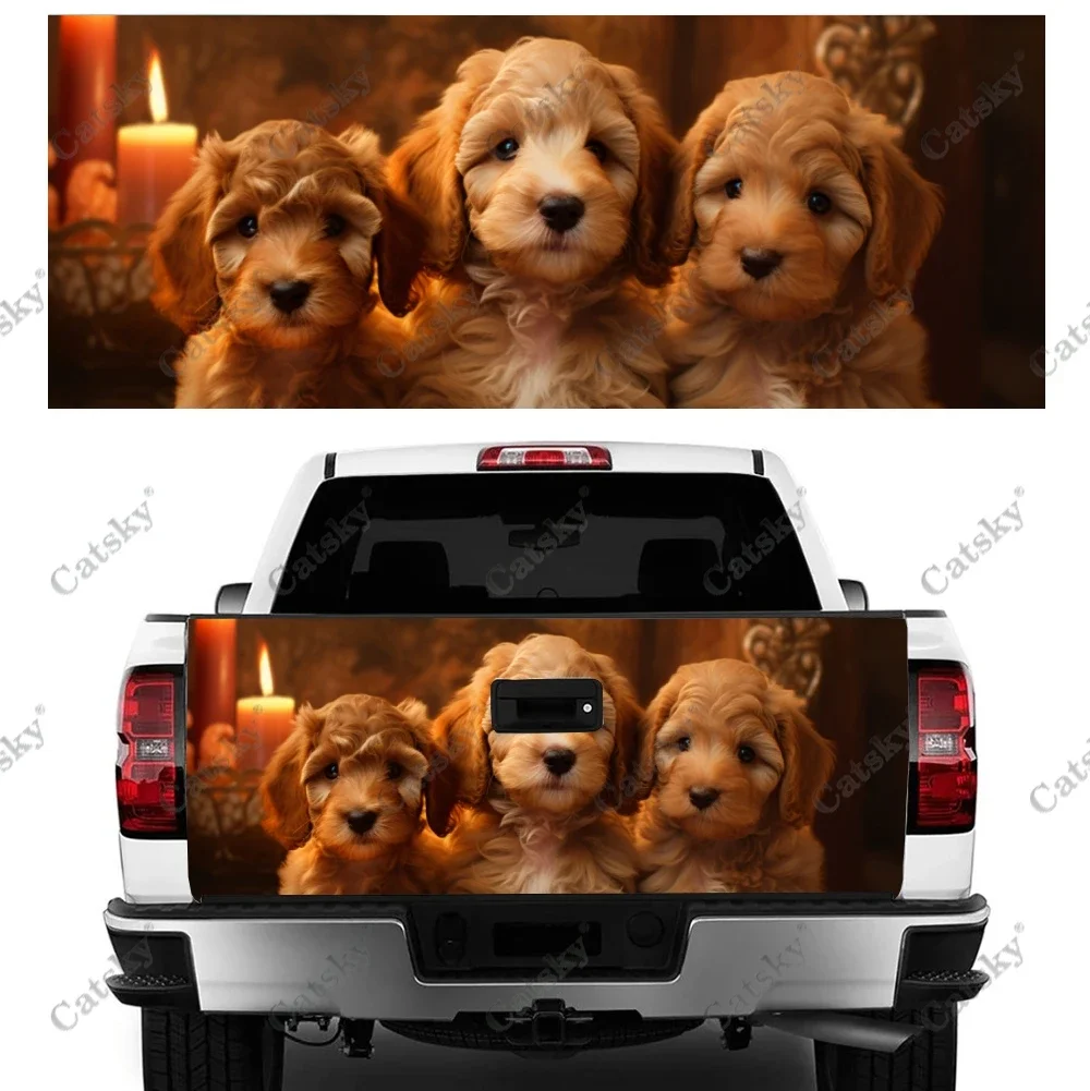 Милая повязка на заднюю дверь для собак Cavapoo материал профессионального класса