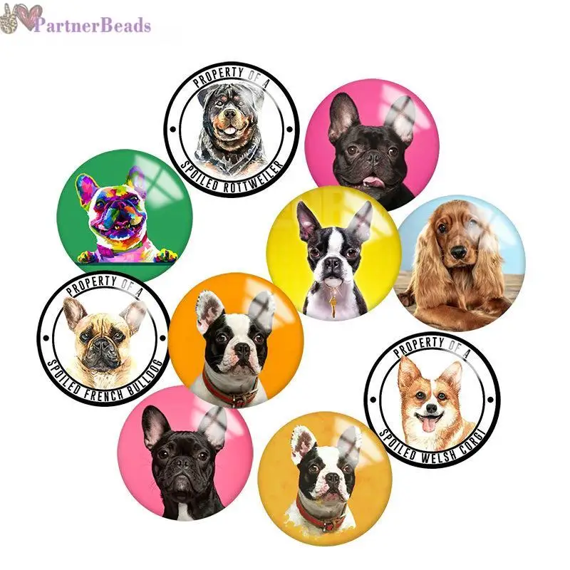 

Dog Round Photo Glass Cabochon Demo Flat Back Making Findings 20mm Snap Button N9401