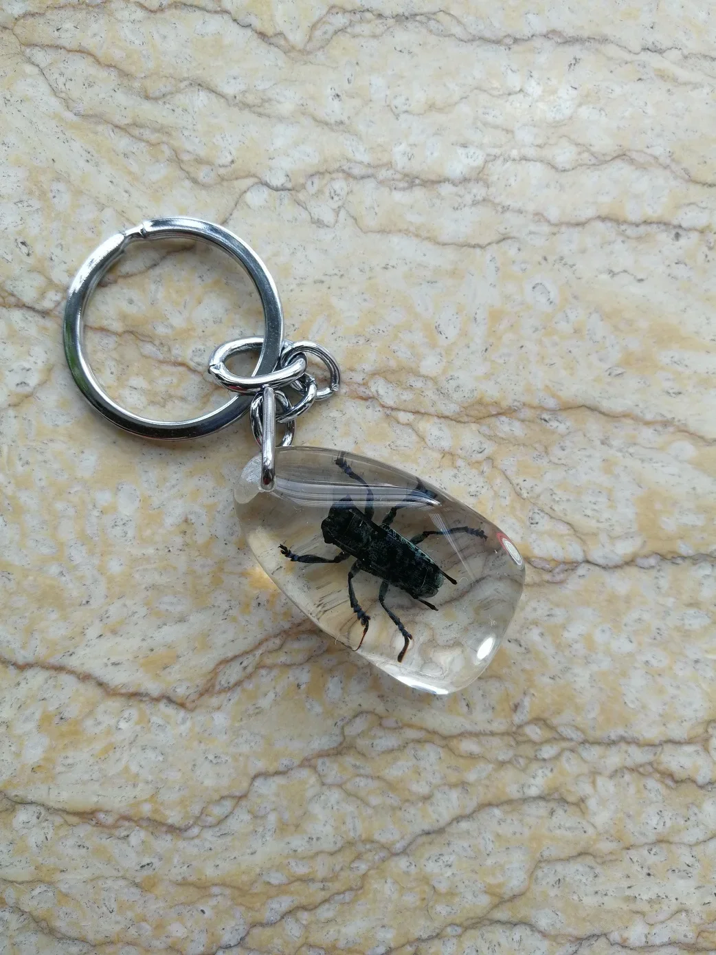 YQTDMY 10 шт. брелок для ключей в виде скорпиона насекомых