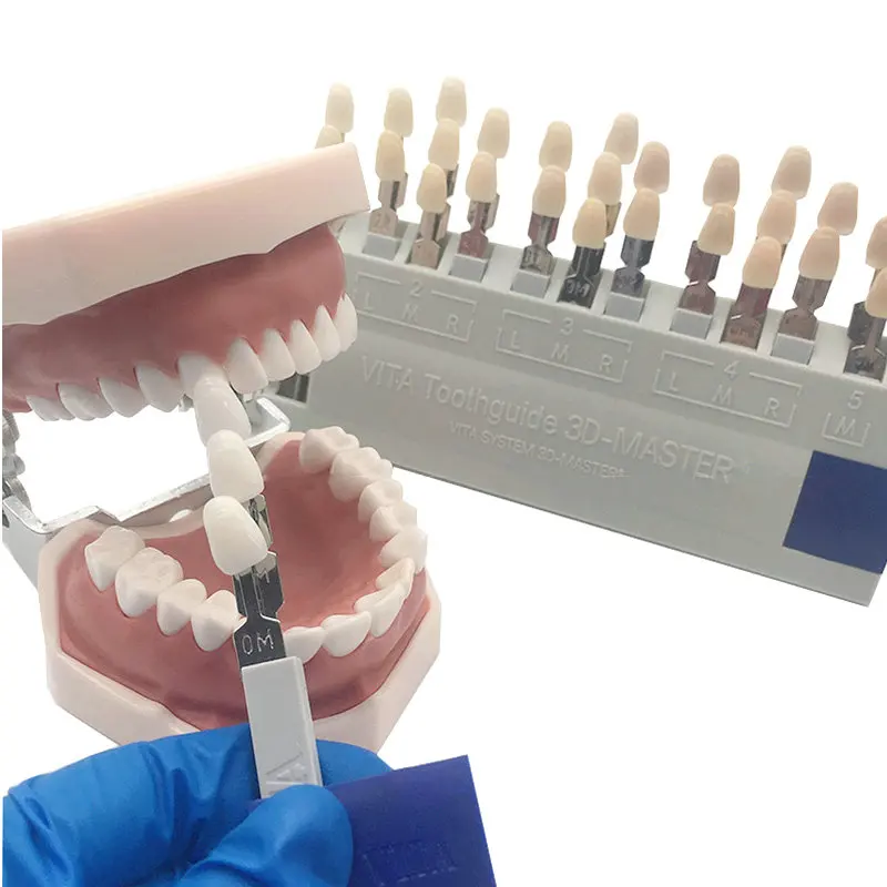 

High Quality Dental VITA Shade Guide 29 Shades Toothguide Teeth Whitening Dentist Tools