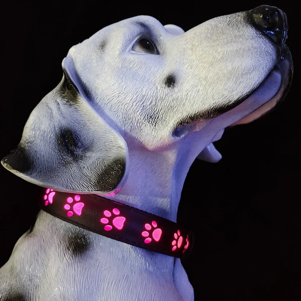 

collars dog and cat LED DOG COLLAR HOT SALES IN 2022 led collar dog