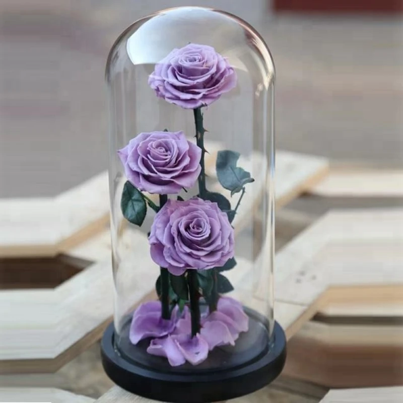 

Wholesale Japanese Decorative Preserved Flowers in Glass Dome Valentine's Day Natural Fresh Rose with Natural Stem Be Queen
