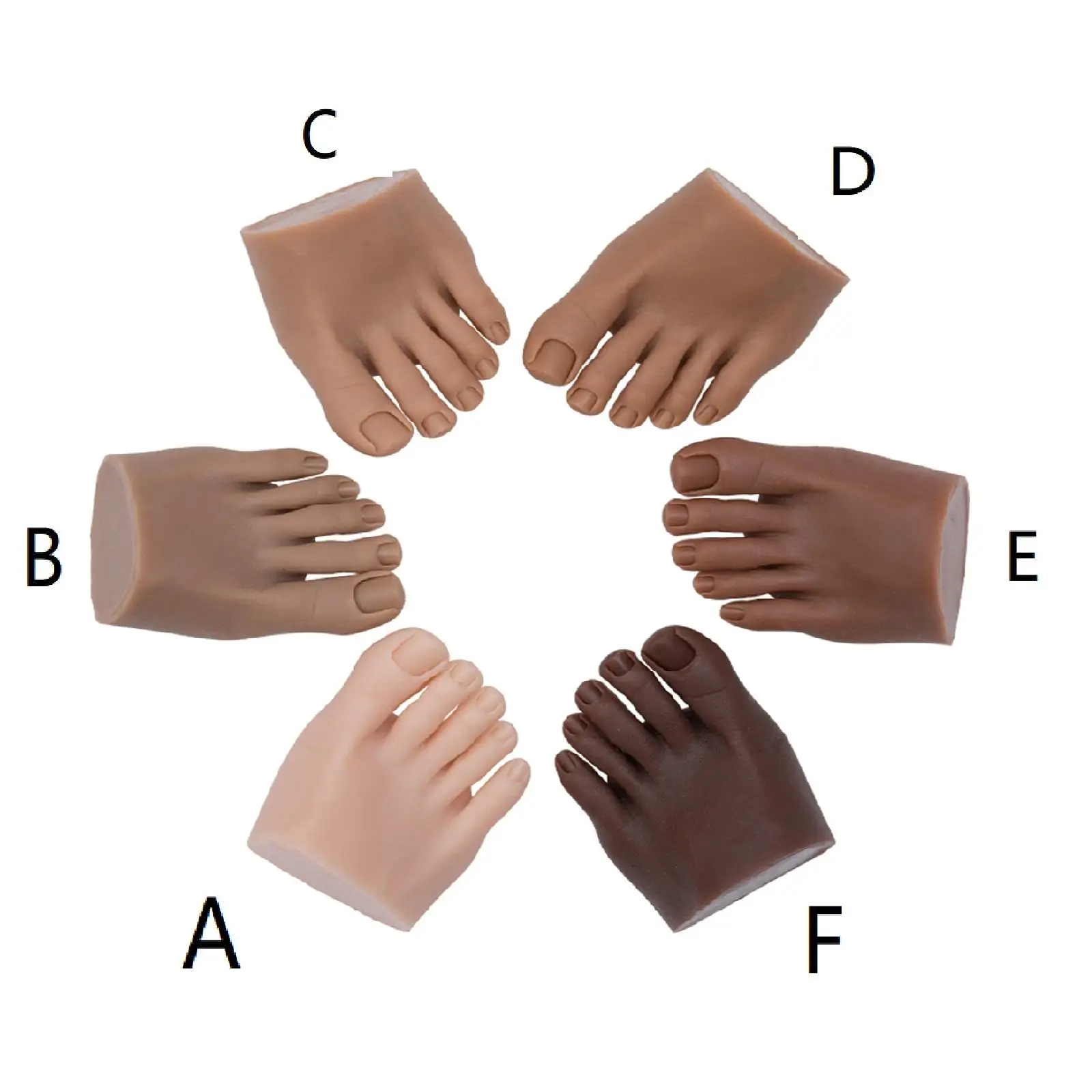 

Nail Practice Foot Model Manicure for Nails Sketch Artists Beginners Display
