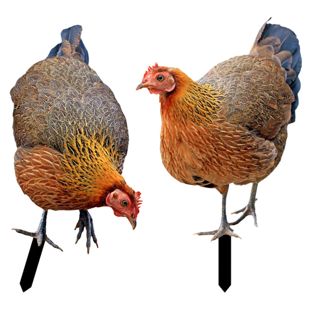 

Japan Outdoor Decorations Patio Yard Chicken Yards Decorative Lawn Stakes Sign