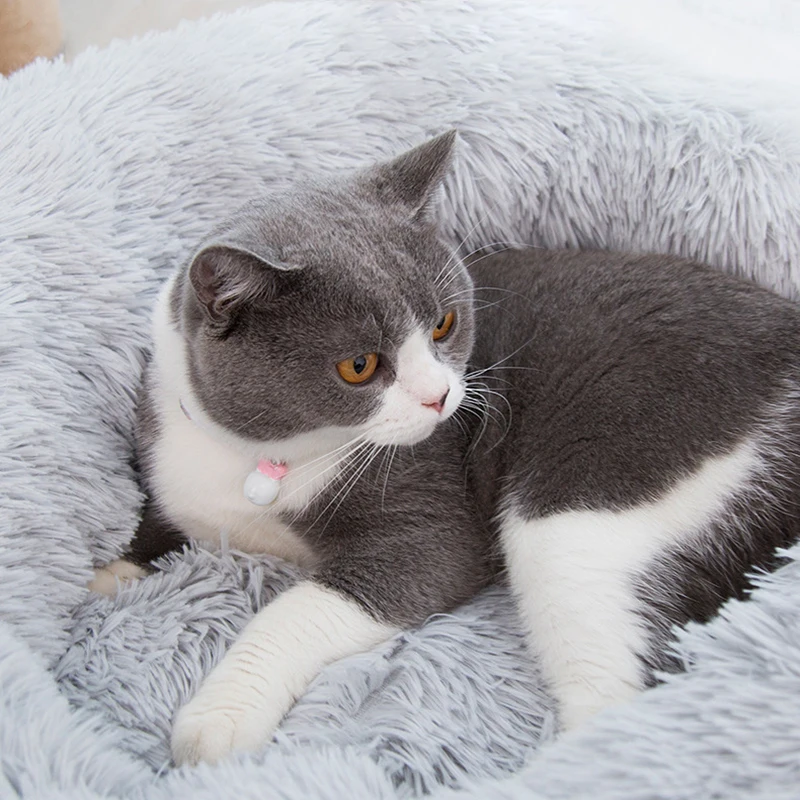 Pet Dog Bed Plush Cat Mat Beds for Large Labrador House Round Cushion Soft Samll Product Accessories |