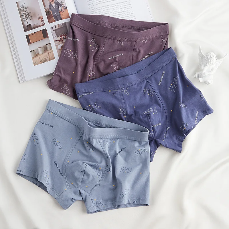 

Mens Boxer Shorts Sexy Seamless Men's Modal Panties Soft Mid Waist Antibacterial Cotton For Men Underpants Men 4PCS Underwear