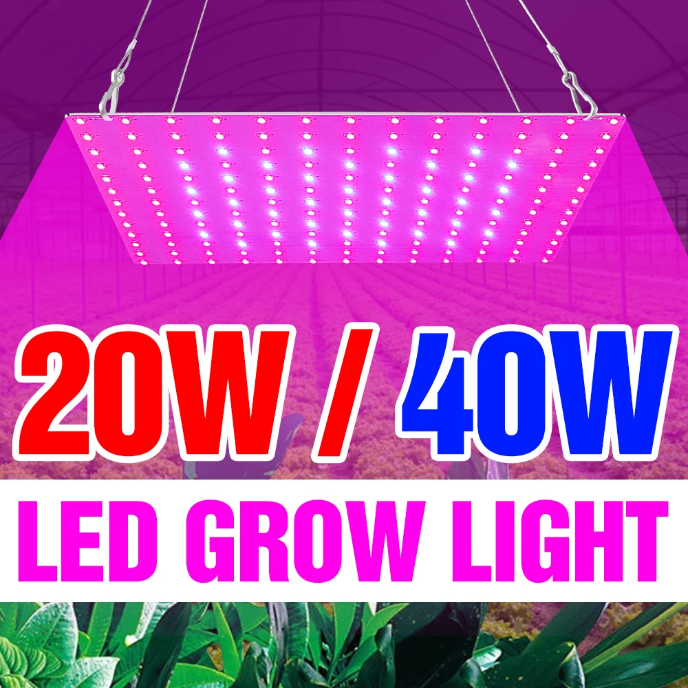 LED Full Spectrum Plants Grow Lamp Tent 220V EU US UK Plug Phyto Light LED Fitolampy 20W 40W Hydroponics Indoor Growth Lampara