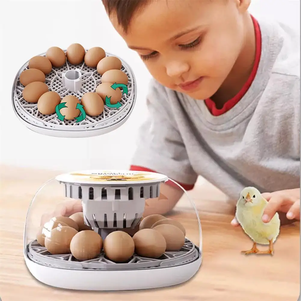 

Removable Dividers Eggs Turning 12 Hatching Hatcher Quail Machine Hatching Brooder Automatic