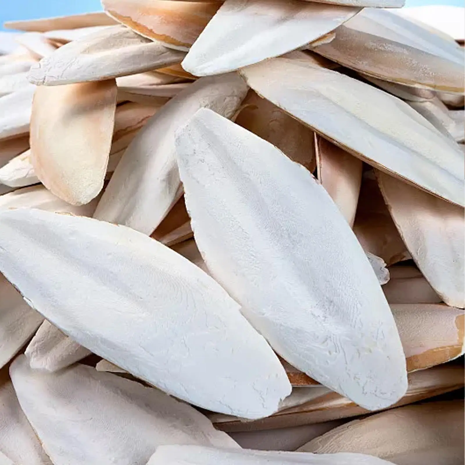 Костяной шлёмник костяной зернистый кальций L6T9