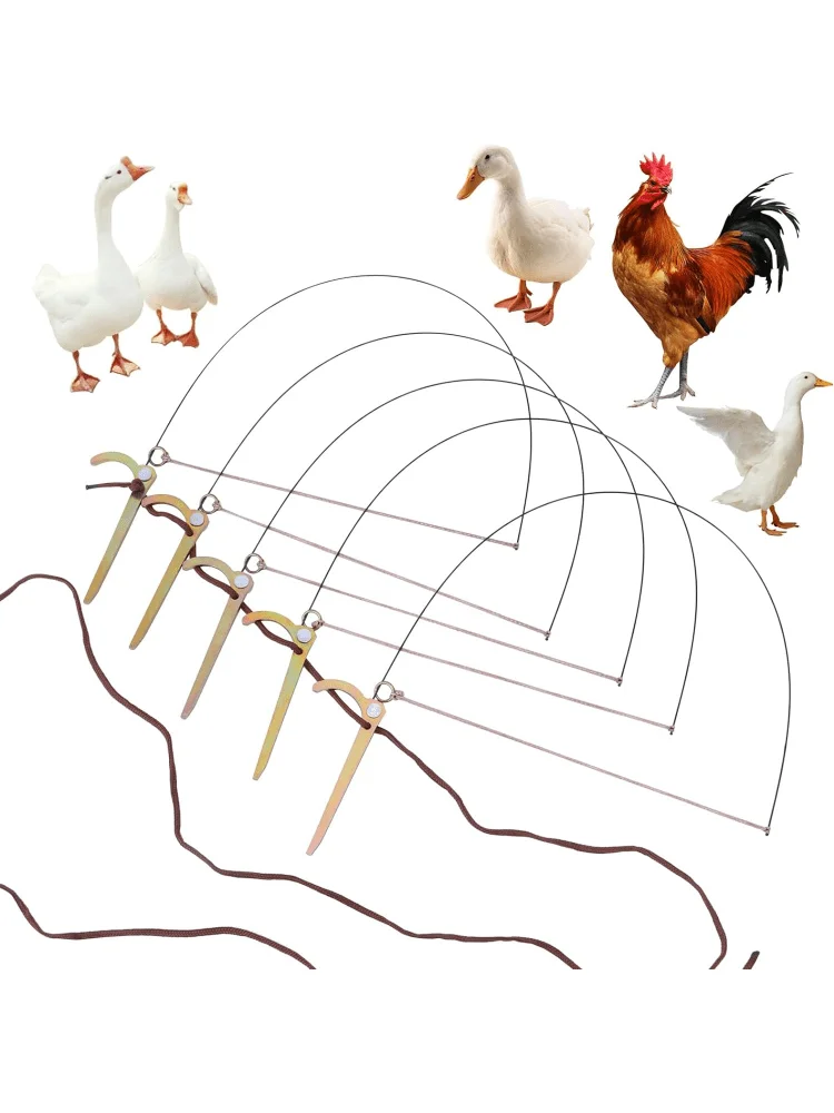 

Ловушка для птиц