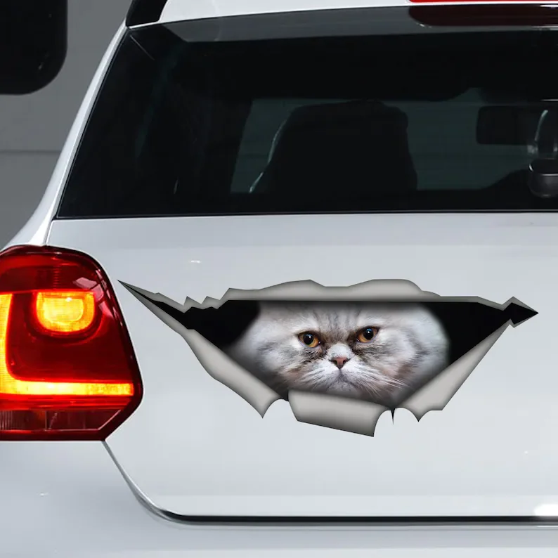 

Funny Persian cat car sticker, cat car decal, grey Persian cat magnet