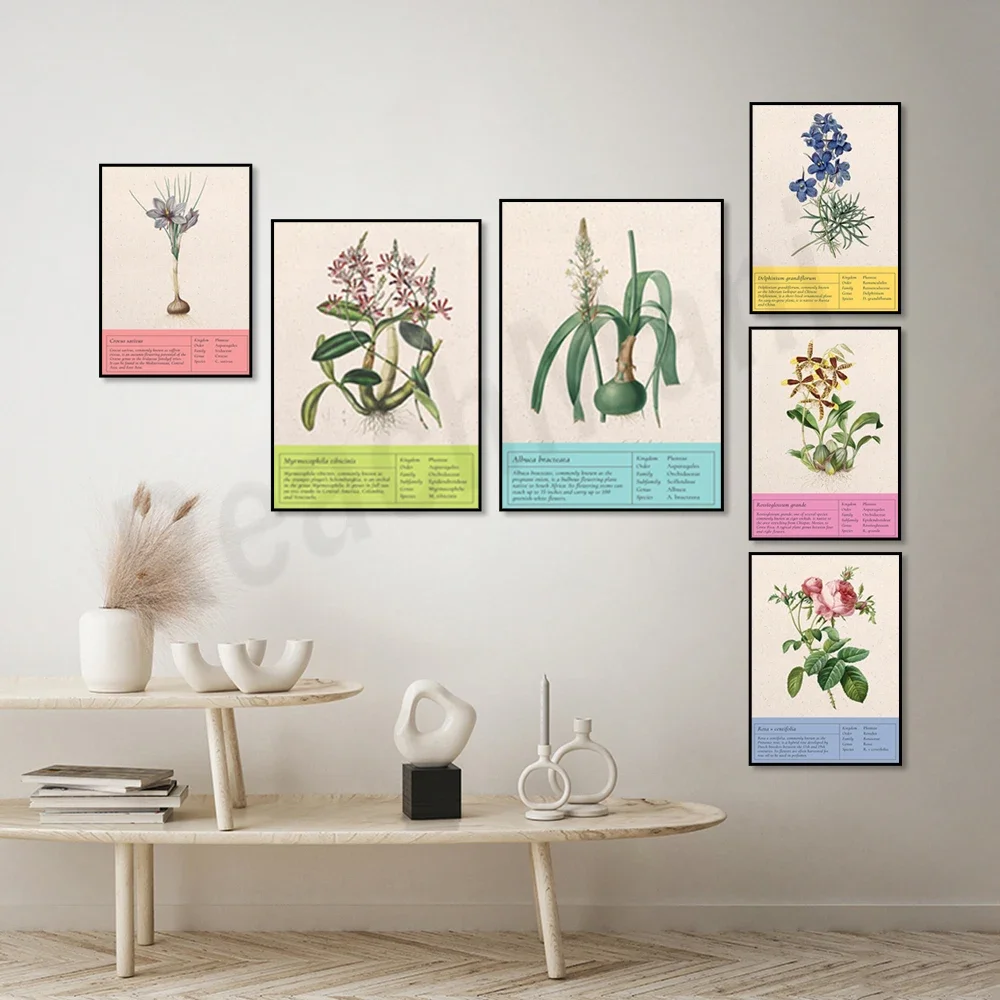 Винтажный ботанический постер лук дельфиниум крокус august лилия водная роза тигр