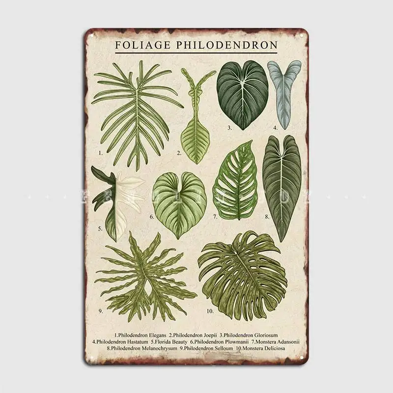 

Foliage Philodendron Plant Poster Metal Plaque Mural Painting Club Bar Designing Pub Tin Sign Poster