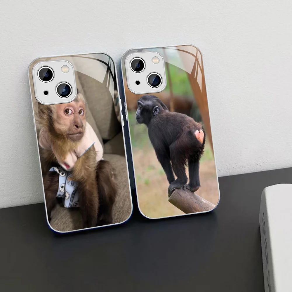 Чехол для телефона Monkey Sipping Caprisun Meme iPhone 14 13 12 Mini 11 Pro XS Max X XR Plus чехол из закаленного
