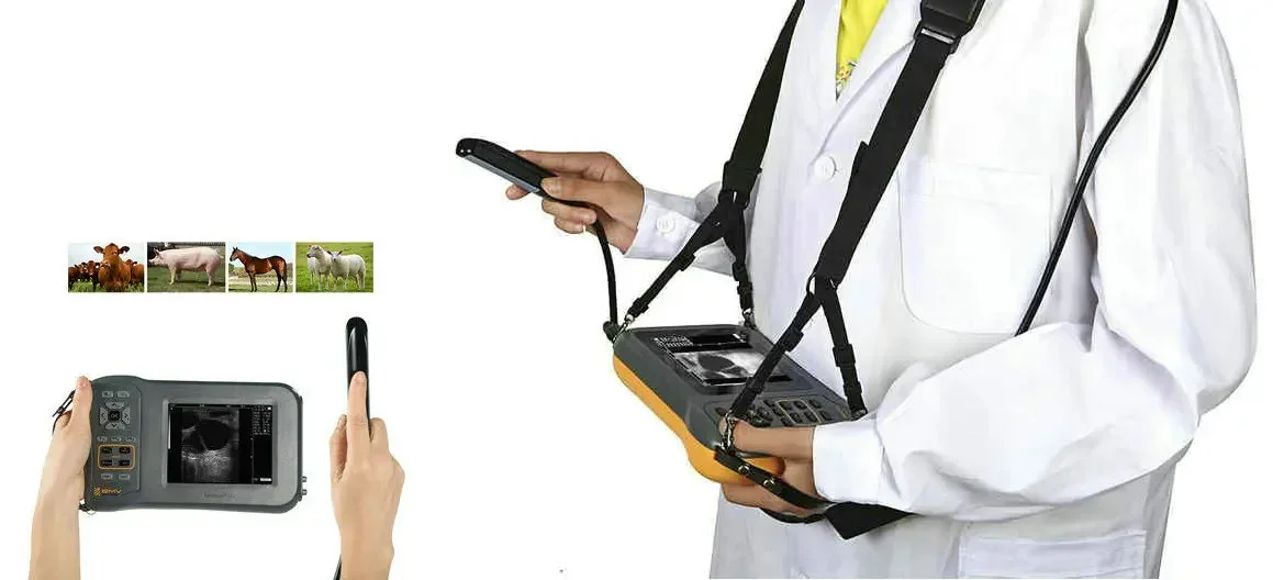BMV Farmscan L60 свинья крупный рогатый скот корова рогатое ветеринарное оборудование