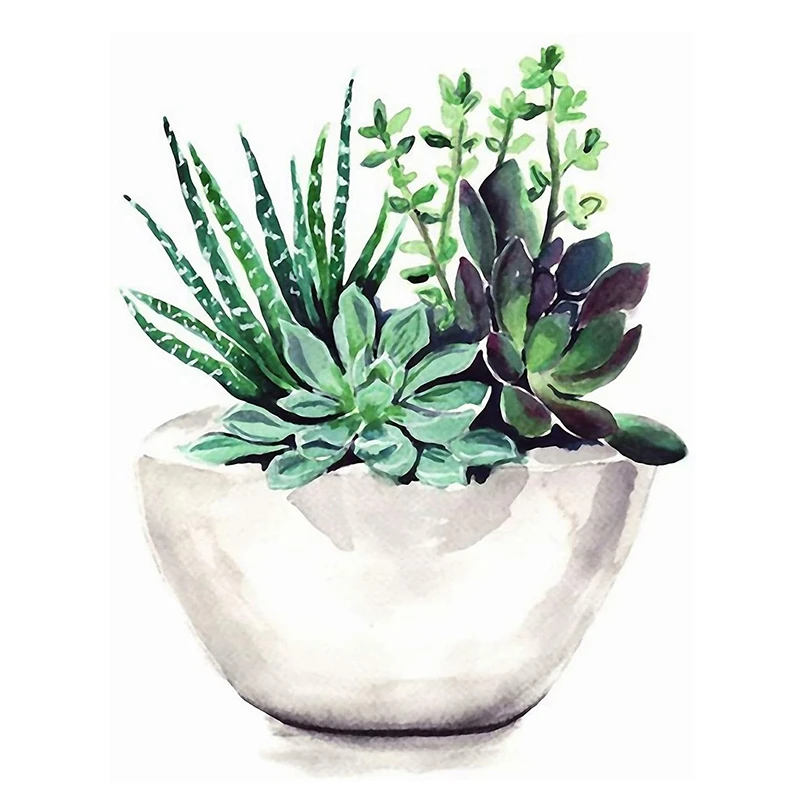 

Paint By Numbers Art Oil Painting Succulent Basin Living Room Bedroom Home Decoration Wall Decoration