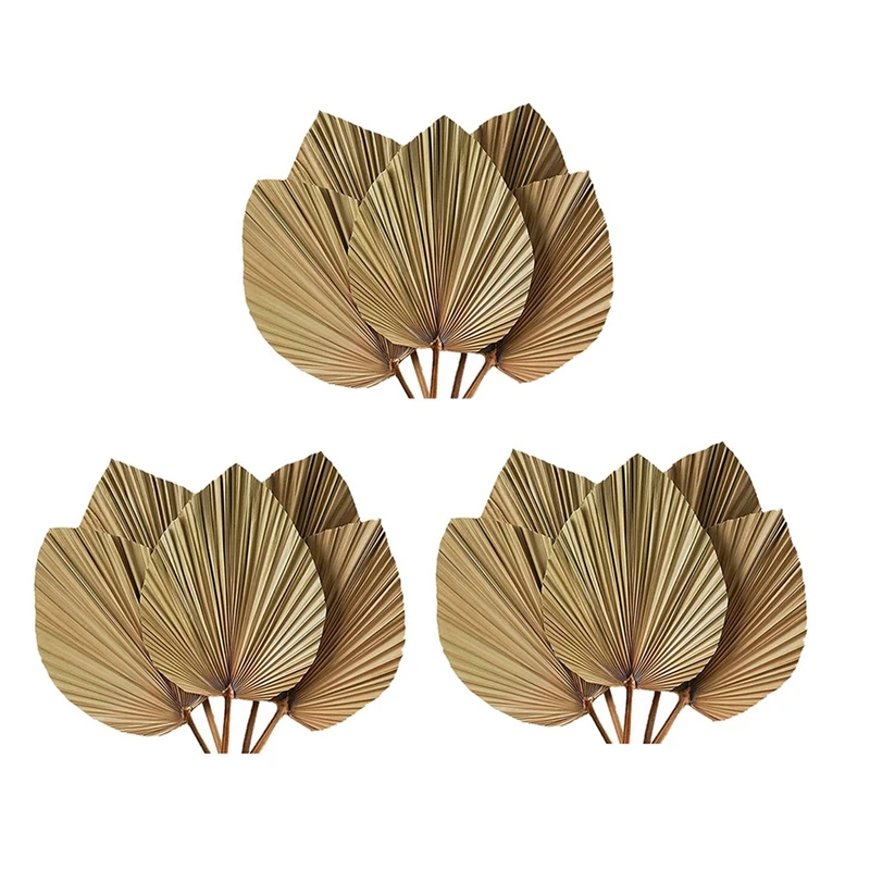 

BMBY-Dried Palm Leaves Room Decor 15 Pieces - 18Inch H X 10Inch W Large Natural Palm Leaf Decor For A Beautiful Boho Look