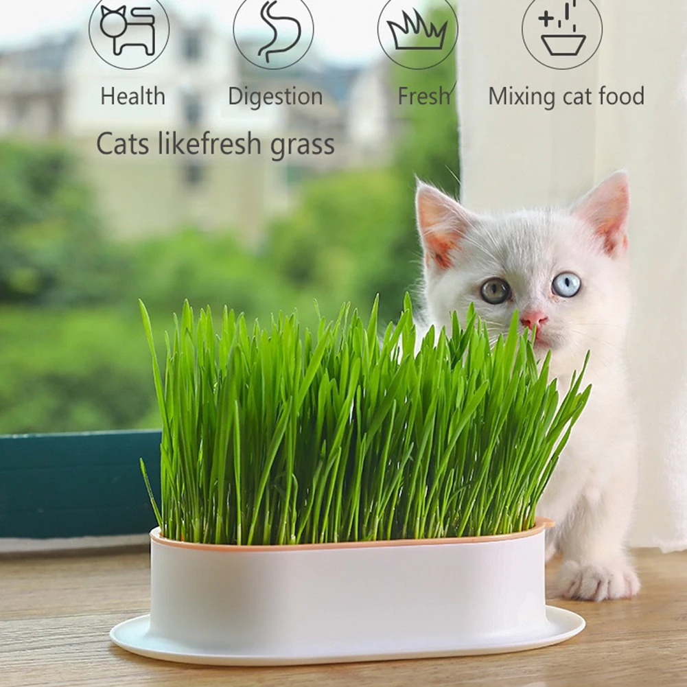 

1Set Pet Cat Sprout Dish Growing Pot Hydroponic Plant Cat Grass Germination Digestion Starter Dish Greenhouse Grow Box Plant Pot