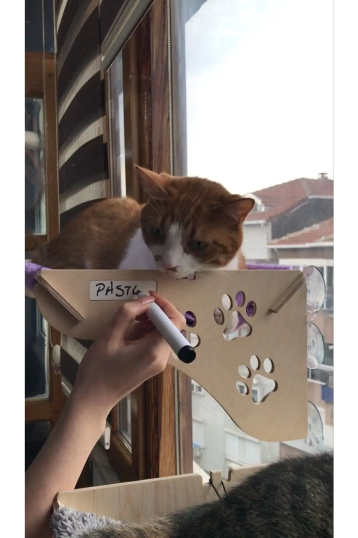 Camas colgantes para gatos, hamaca c&oacute;moda y c&aacute;lida para mascotas, asiento con montaje en ventana, cojinete de 20kg-1