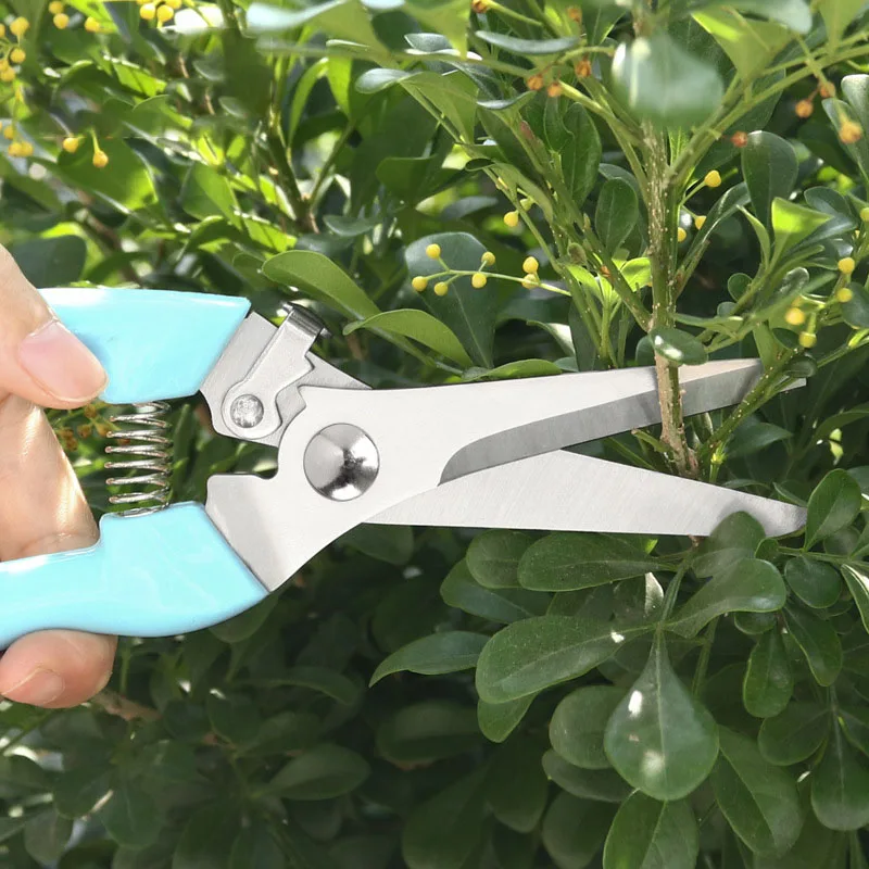 

Garden Flower Shears Garden Shears Pruning Tree Tree Pruning Shears for Household Use with Powerful and Labor-Saving Shears