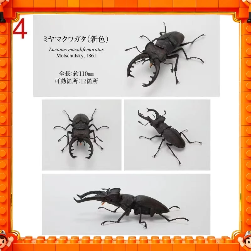 Фото 2026 Оригинальная модель Bandai GP Ikimono Taikan Stag Beetle 11 (Prosopocoilus Giraffa) в наличии, игрушка-подарок №5